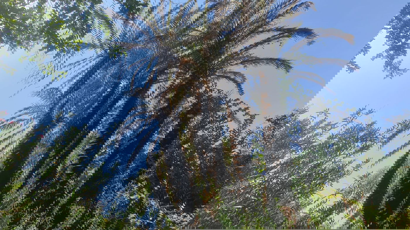 טיול בצפון בעדשת המצלמה; צפו בגלריה