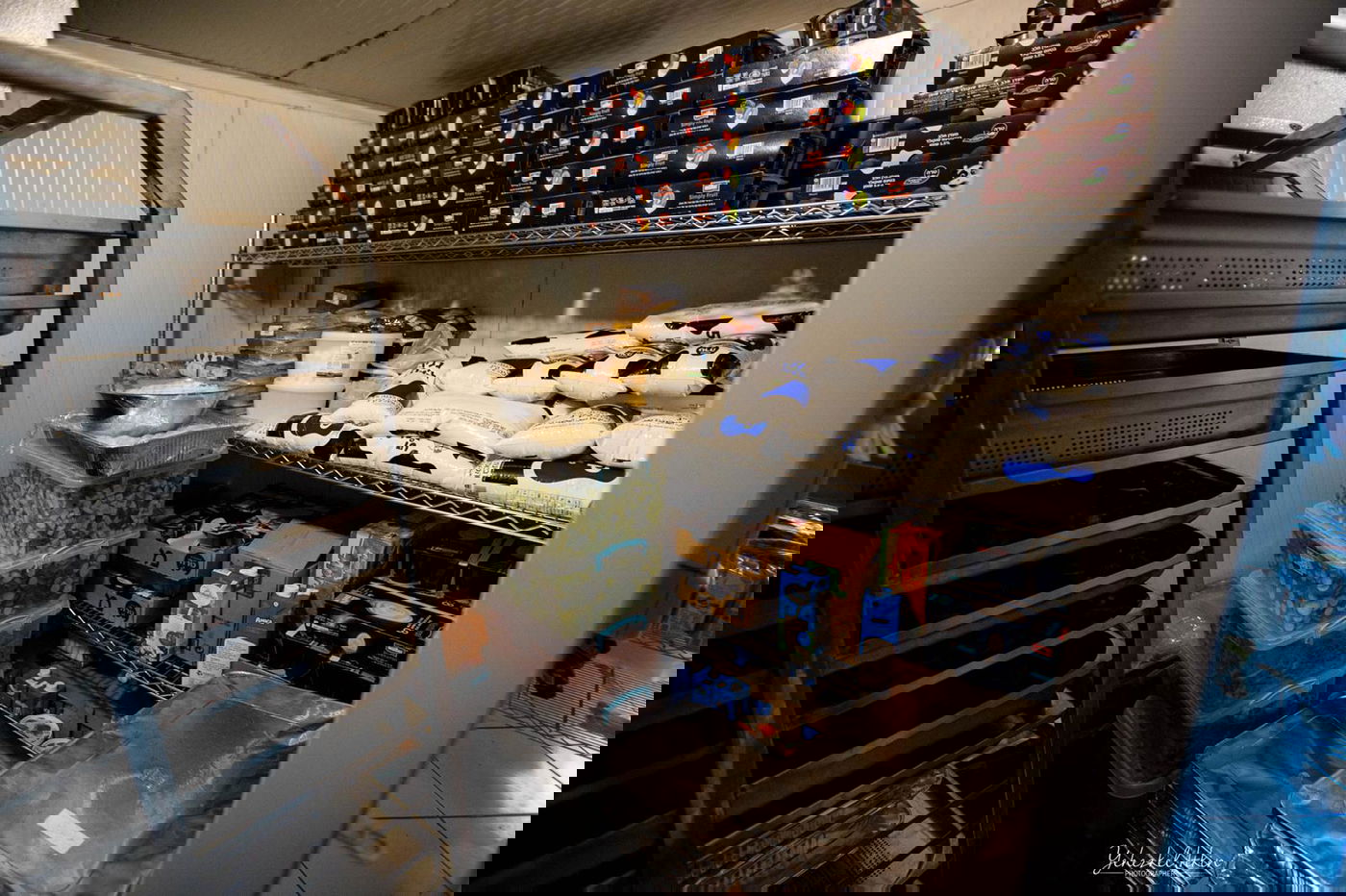 כאלף חסידים יתפללו במדינה המוסלמית • צפו בגלריה