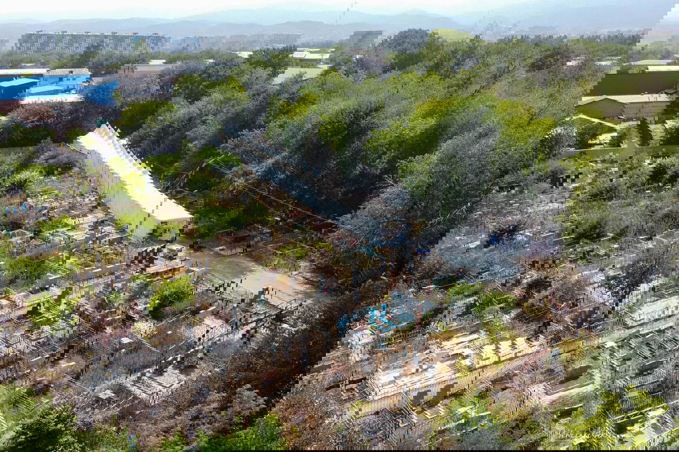 כאלף חסידים יתפללו במדינה המוסלמית • צפו בגלריה