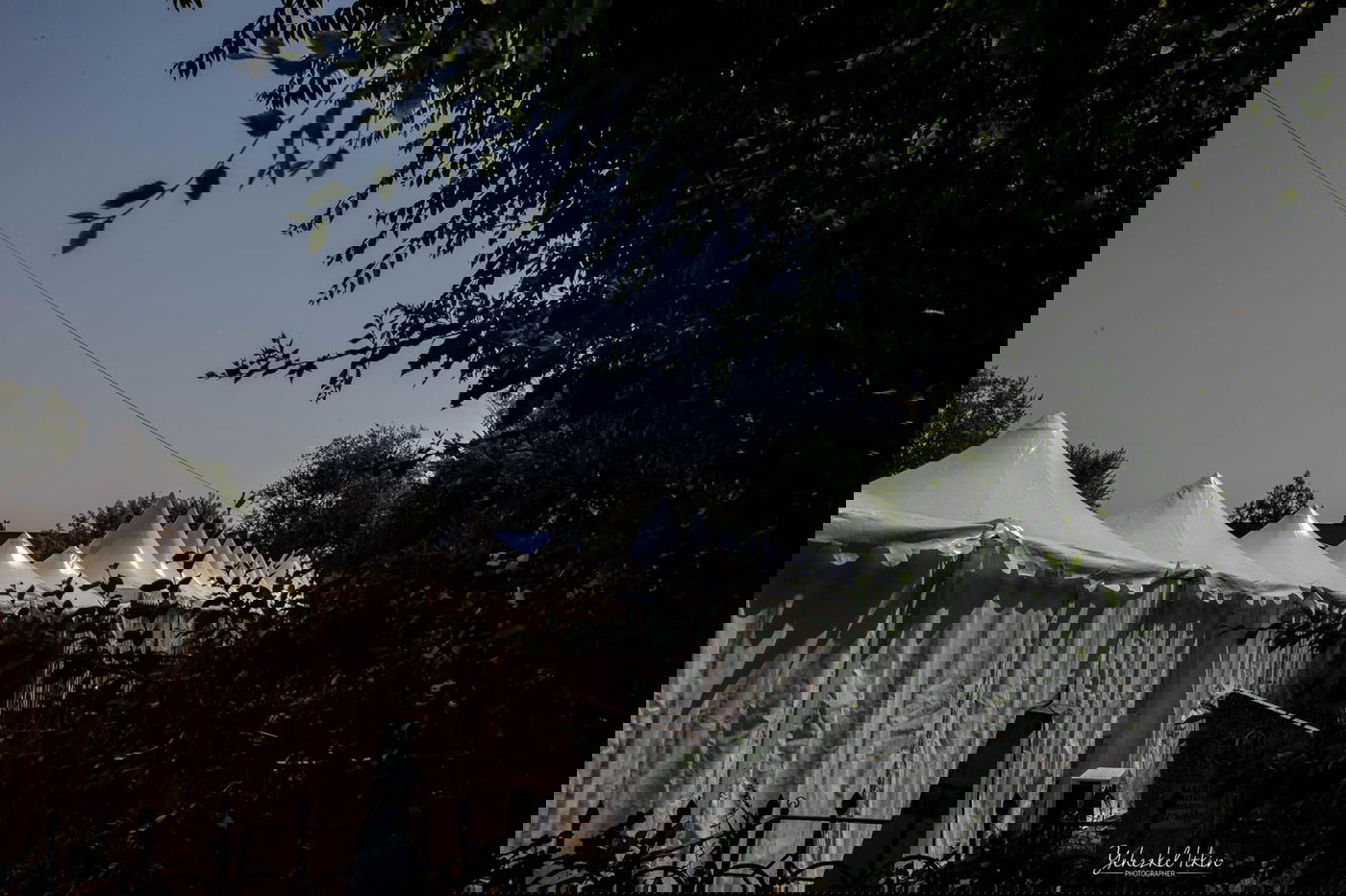 כאלף חסידים יתפללו במדינה המוסלמית • צפו בגלריה