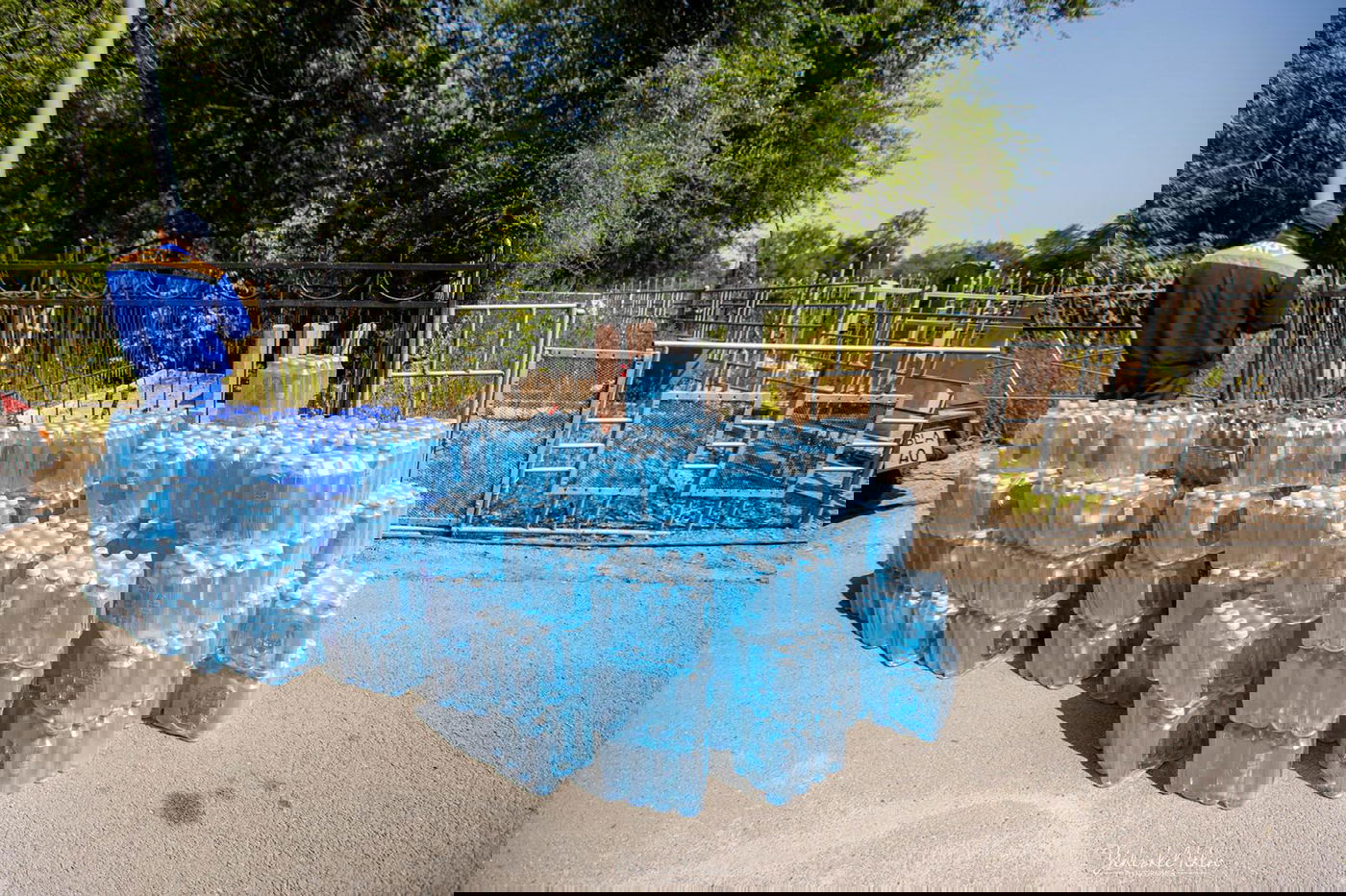 כאלף חסידים יתפללו במדינה המוסלמית • צפו בגלריה