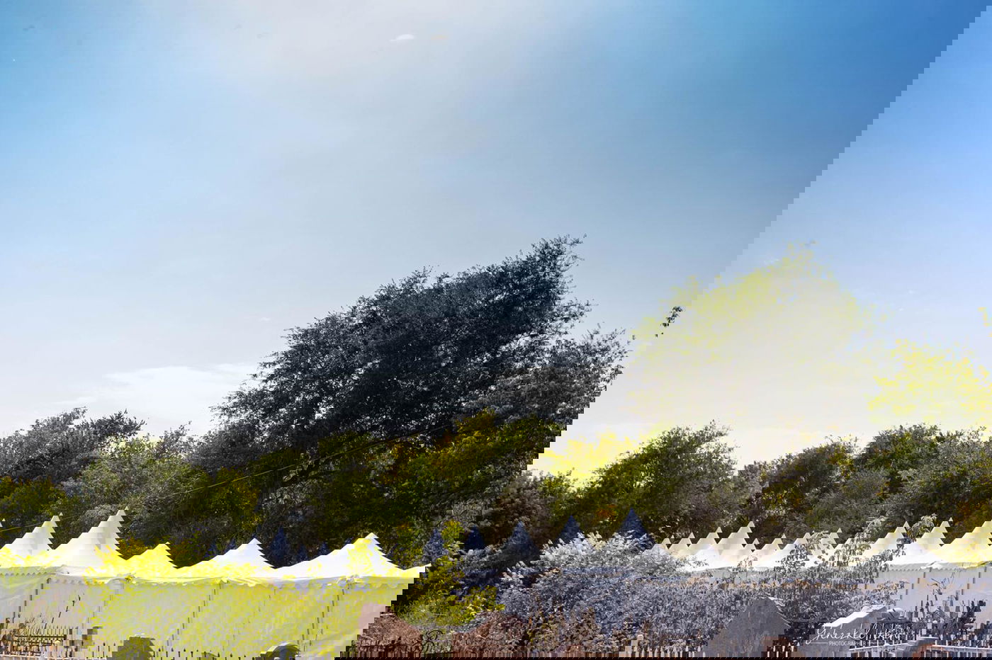 כאלף חסידים יתפללו במדינה המוסלמית • צפו בגלריה