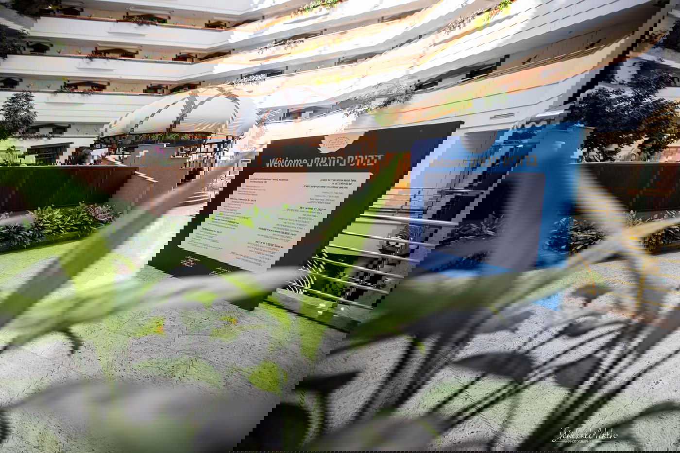 כאלף חסידים יתפללו במדינה המוסלמית • צפו בגלריה