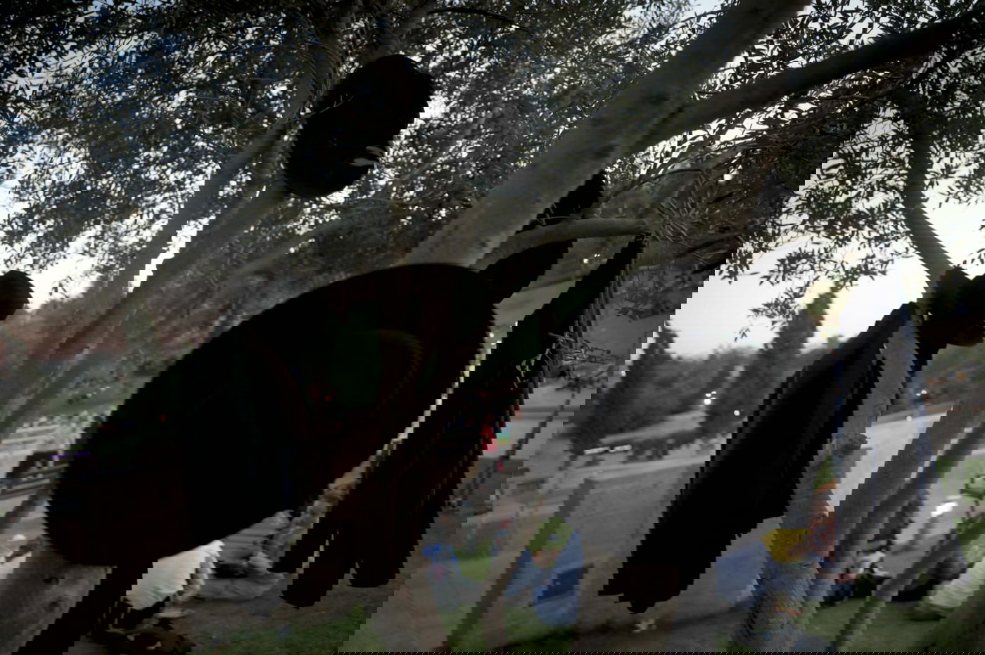 התחזית: חם לכם? בסופ"ש יהיה יותר חם