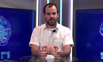 'המוח', פרק 3: איך מקבלים החלטה מוסרית? • צפו