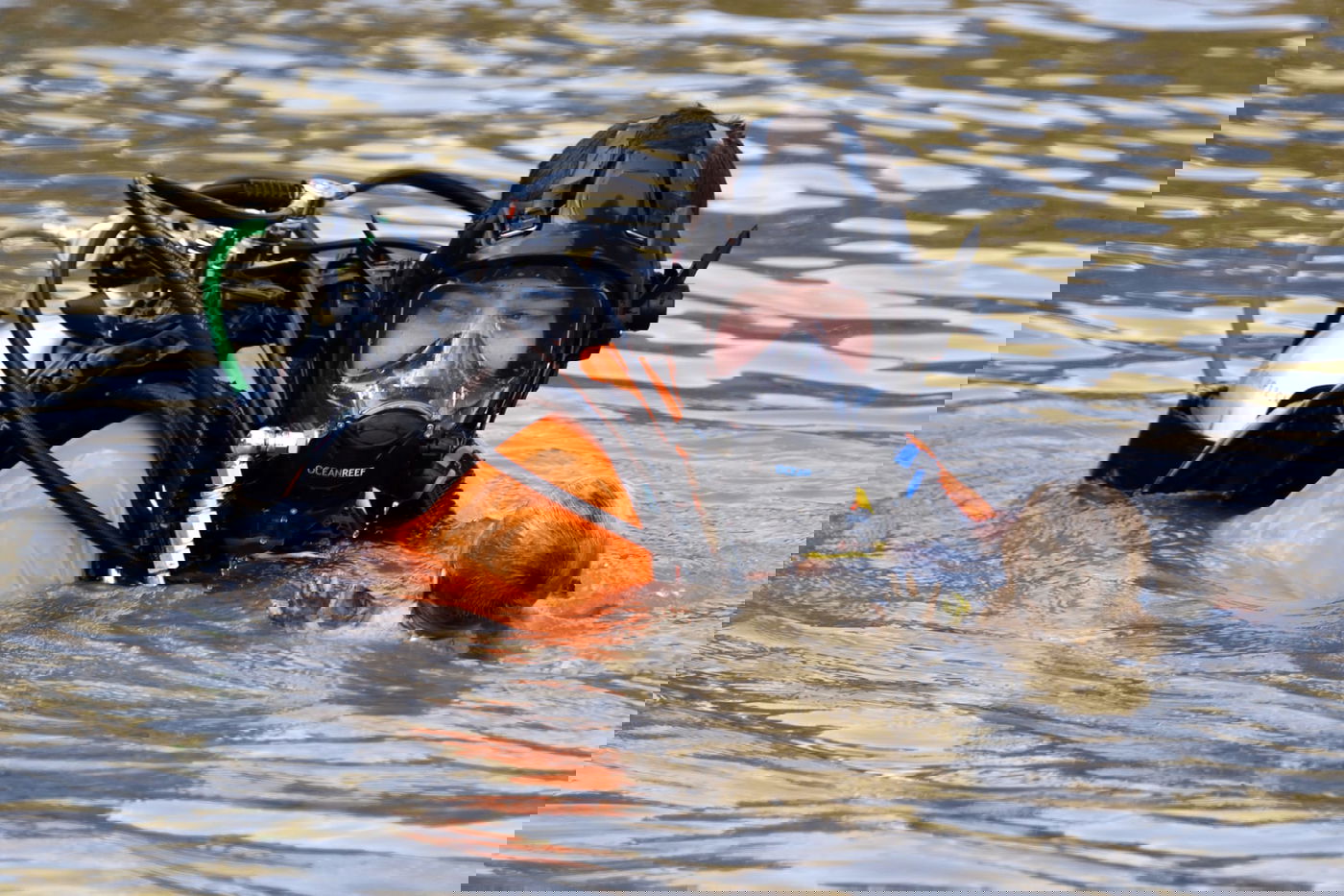 מציאת בובה במהלך אימון