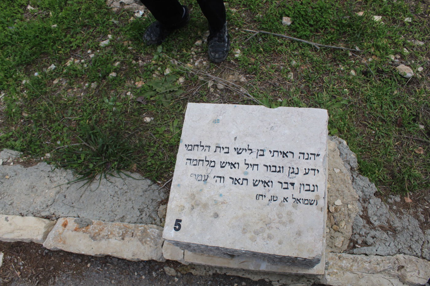 הנס ב'תל עזקה'; כך דוד ניצח את גוליית ואחיו