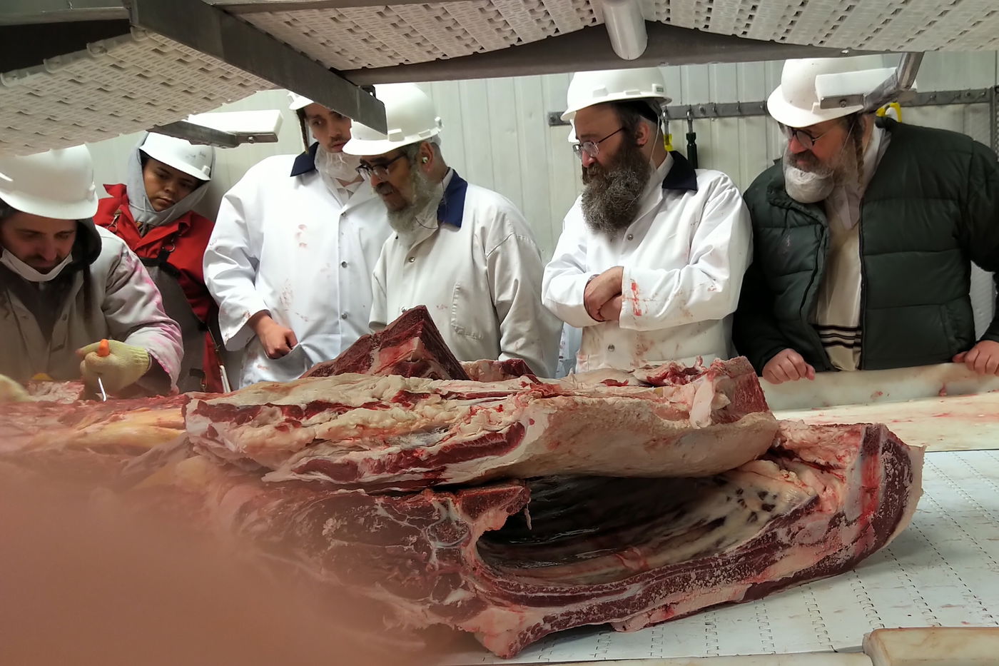 האדמו"ר מסאטמר ביקר בבית השחיטה של הקהילה