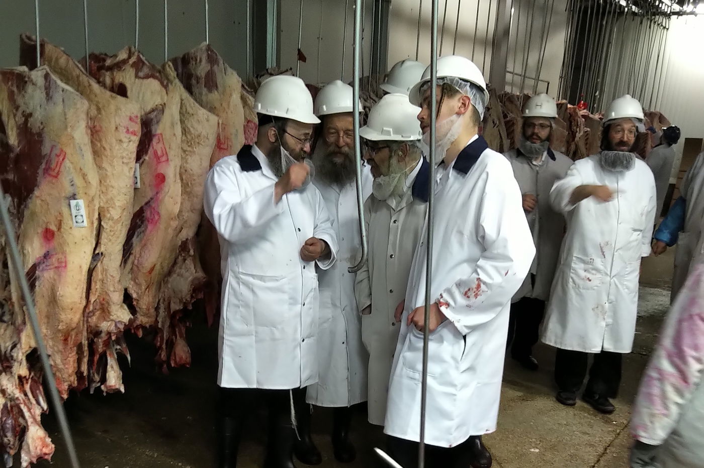 האדמו"ר מסאטמר ביקר בבית השחיטה של הקהילה