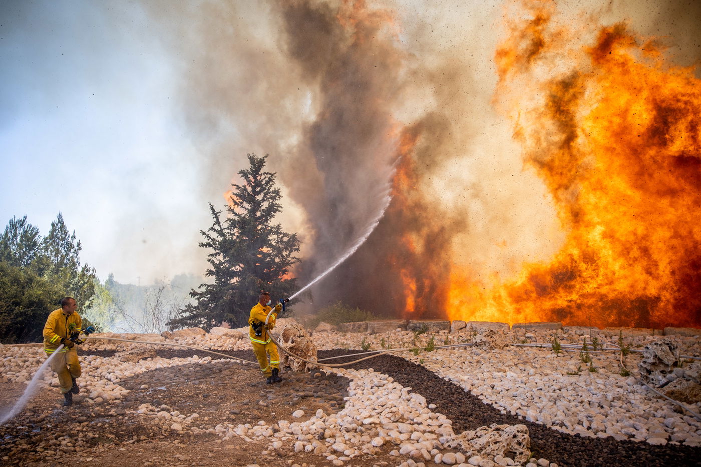 השריפה בשורש; הלוחמים לקראת שליטה