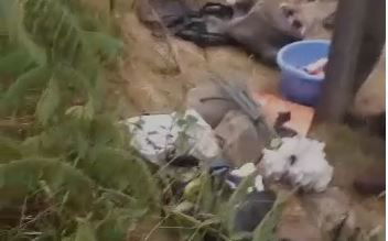 ממראות החילול