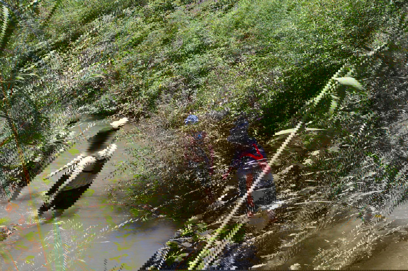 טיול לבין הזמנים: שייט קייקים - ללא קייקים