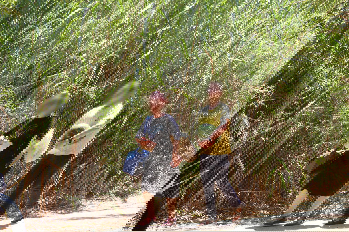 בדרך אל המסלול הרטוב.