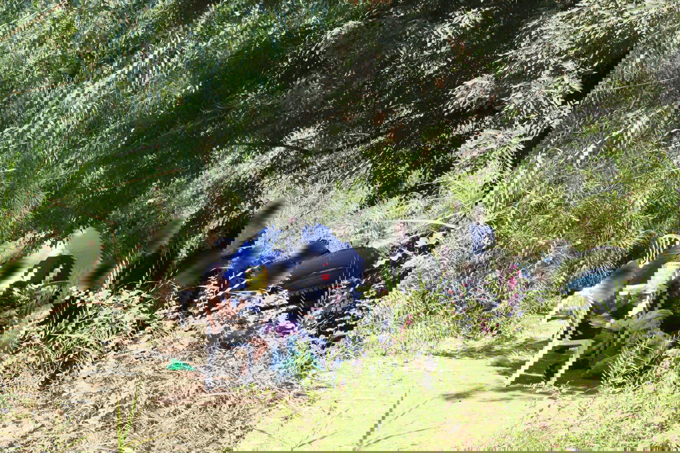 טיול לבין הזמנים: שייט קייקים - ללא קייקים