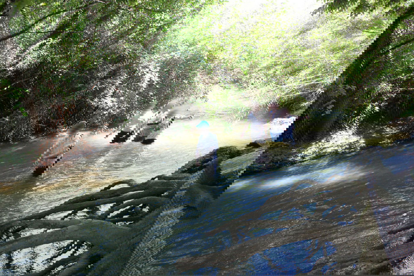 טיול לבין הזמנים: שייט קייקים - ללא קייקים