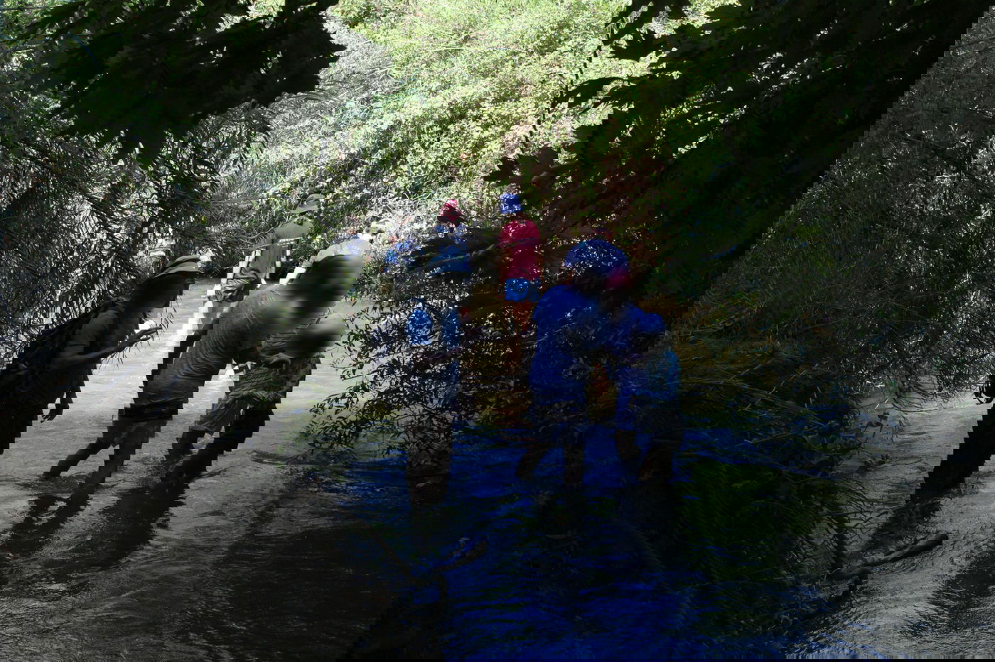 טיול לבין הזמנים: שייט קייקים - ללא קייקים