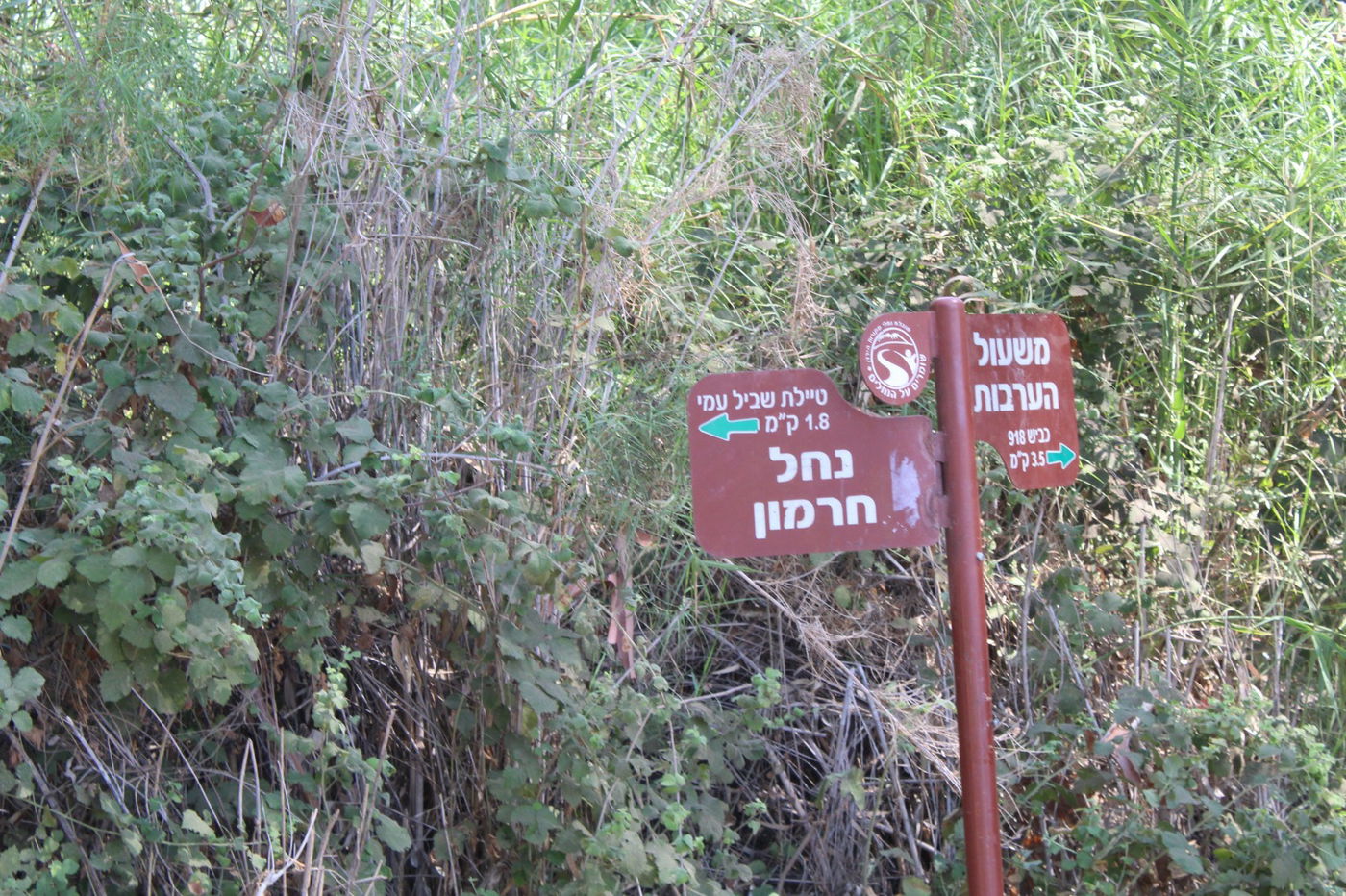 טיול לבין הזמנים: שייט קייקים - ללא קייקים