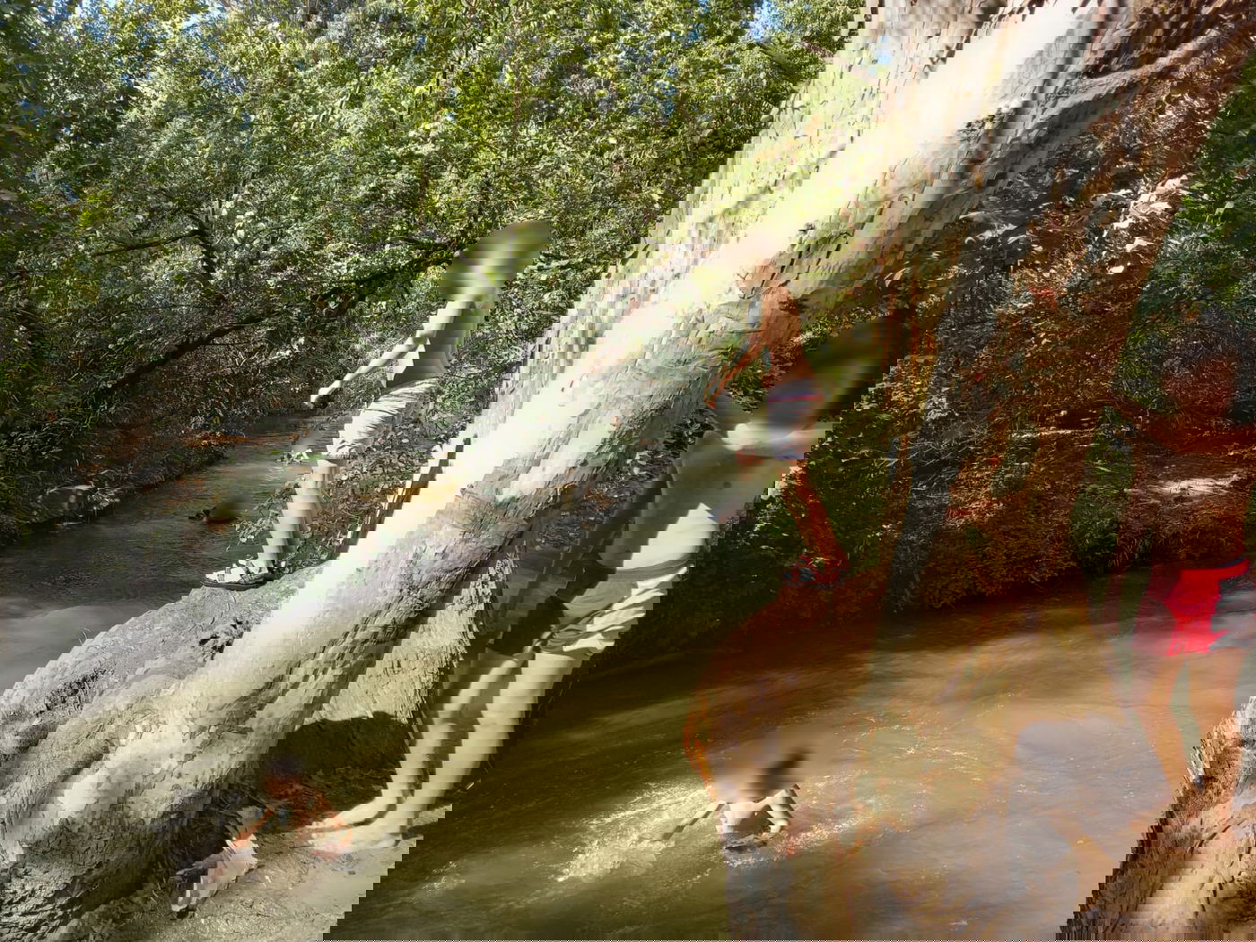 טיול לבין הזמנים: שייט קייקים - ללא קייקים