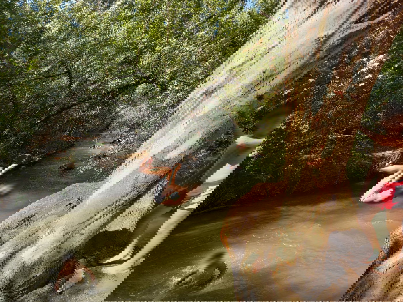 טיול לבין הזמנים: שייט קייקים - ללא קייקים