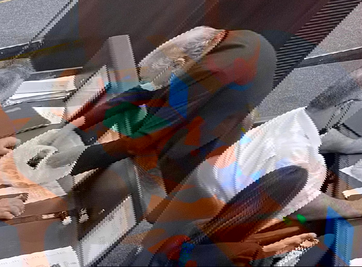 זופניק בכיכר • כל התמונות והנייעס של השבוע