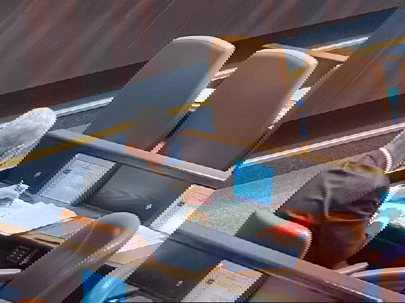 זופניק בכיכר • כל התמונות והנייעס של השבוע