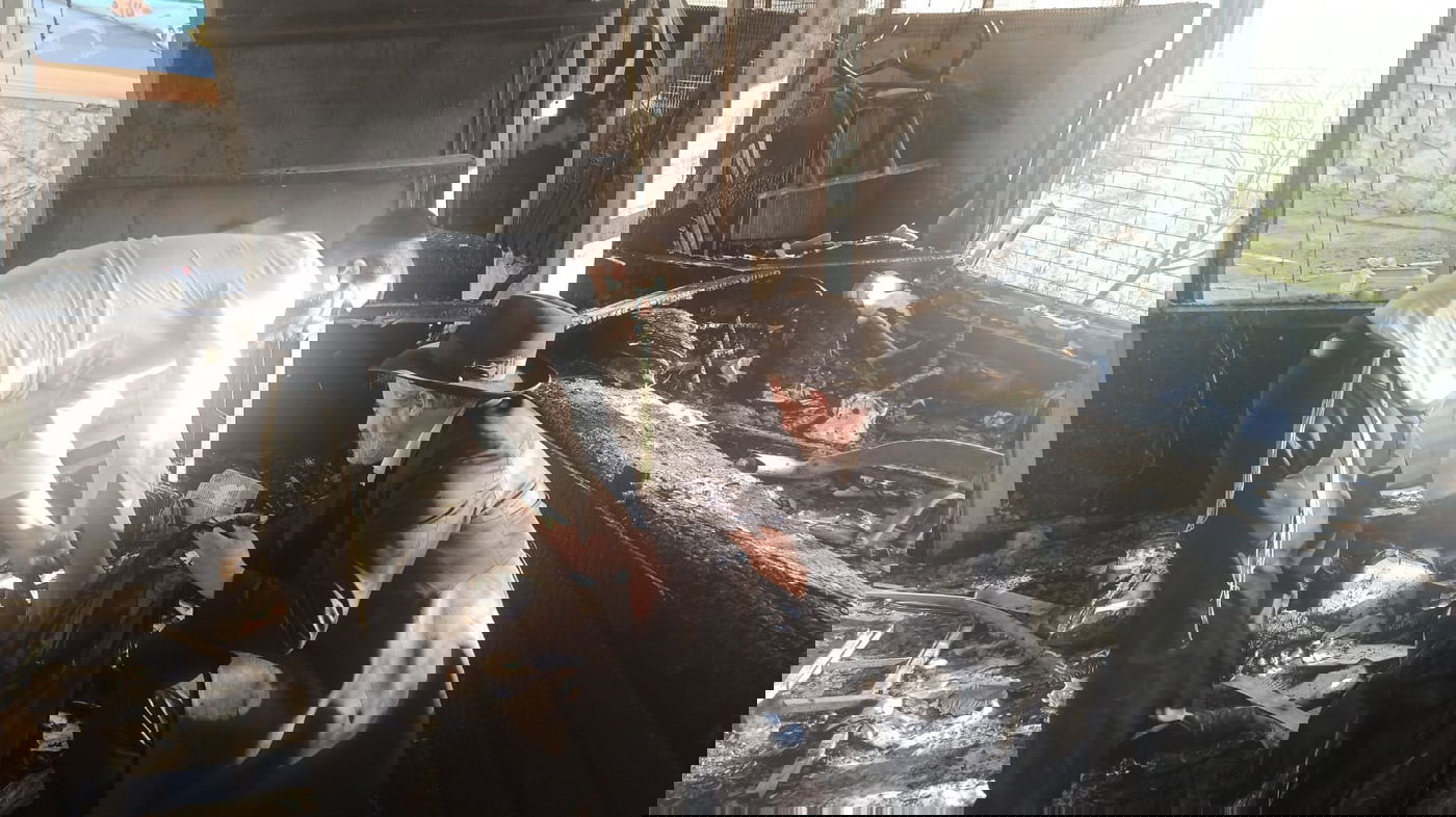 מתוצאות השריפה בירושלים: בית כנסת נשרף לחלוטין