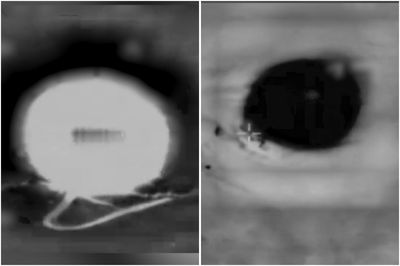 צפו בתיעוד: התקיפה הישראלית - בלבנון