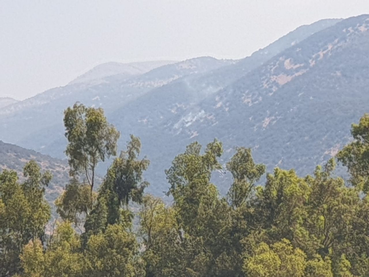 נפילה באזור נחל שיאון