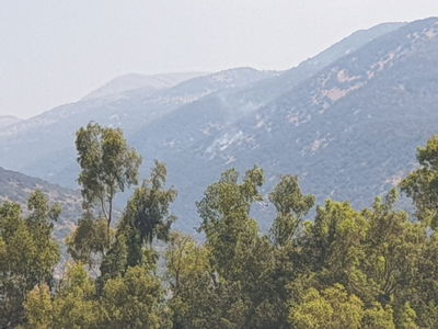 נפילה באזור נחל שיאון