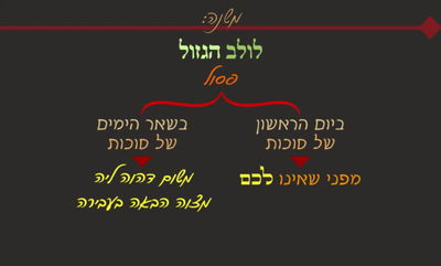 סוכה ל' • סיכום והמחשה של הדף היומי