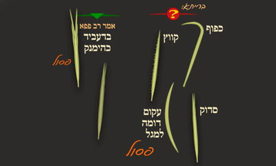 סוכה ל"ב • סיכום והמחשה של הדף היומי