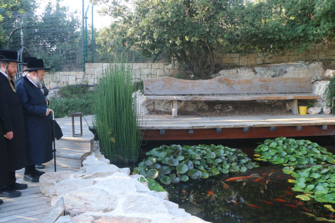 בבית הנגיד: האדמו"ר בנאות דשא • צפו