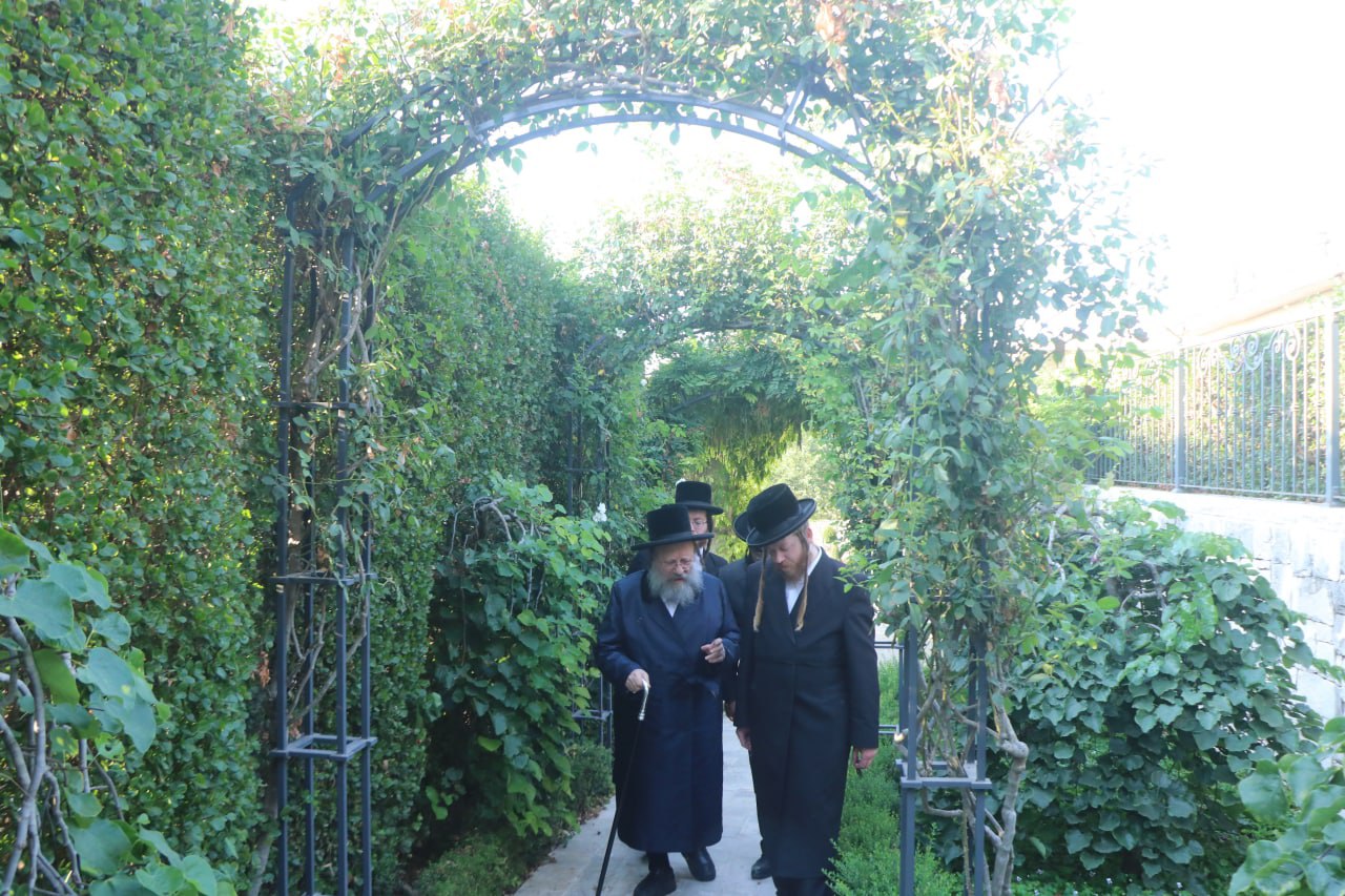 בבית הנגיד: האדמו"ר בנאות דשא • צפו