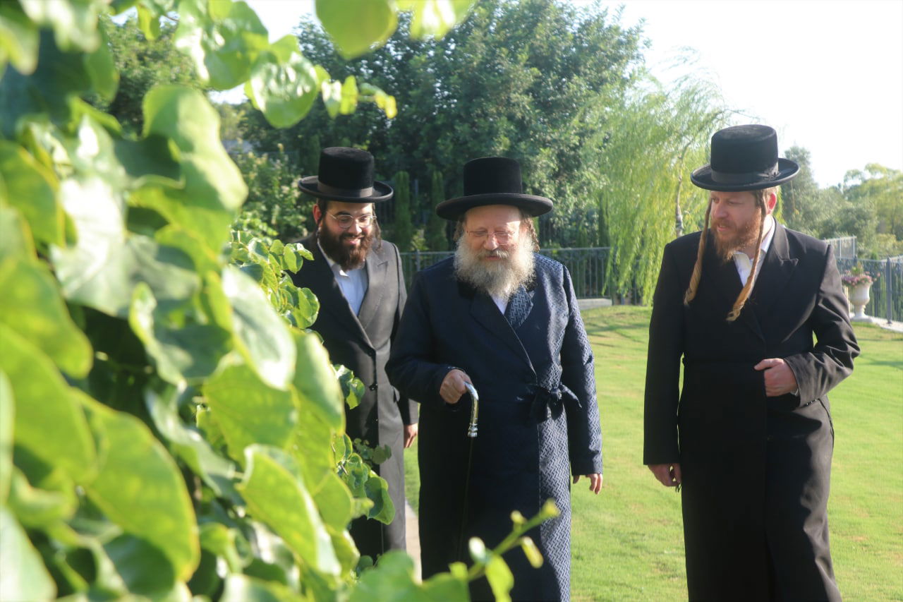 בבית הנגיד: האדמו"ר בנאות דשא • צפו