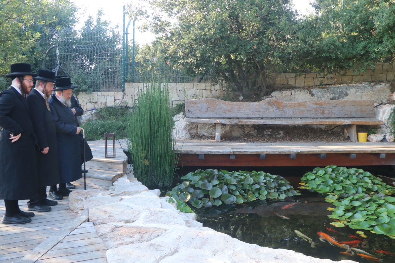 בבית הנגיד: האדמו"ר בנאות דשא • צפו