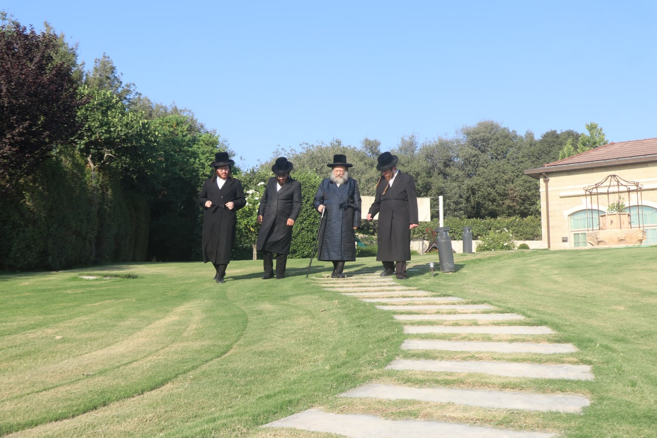 בבית הנגיד: האדמו"ר בנאות דשא • צפו