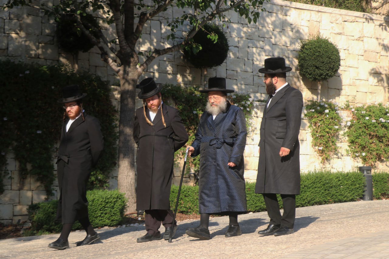 בבית הנגיד: האדמו"ר בנאות דשא • צפו