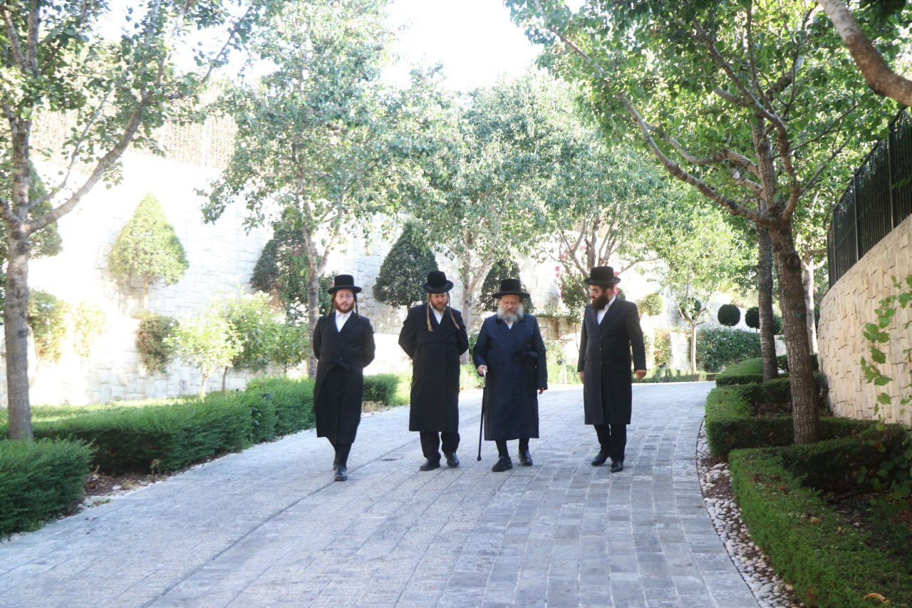 בבית הנגיד: האדמו"ר בנאות דשא • צפו