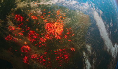 "האנושות אחראית להתחממות הגלובלית"