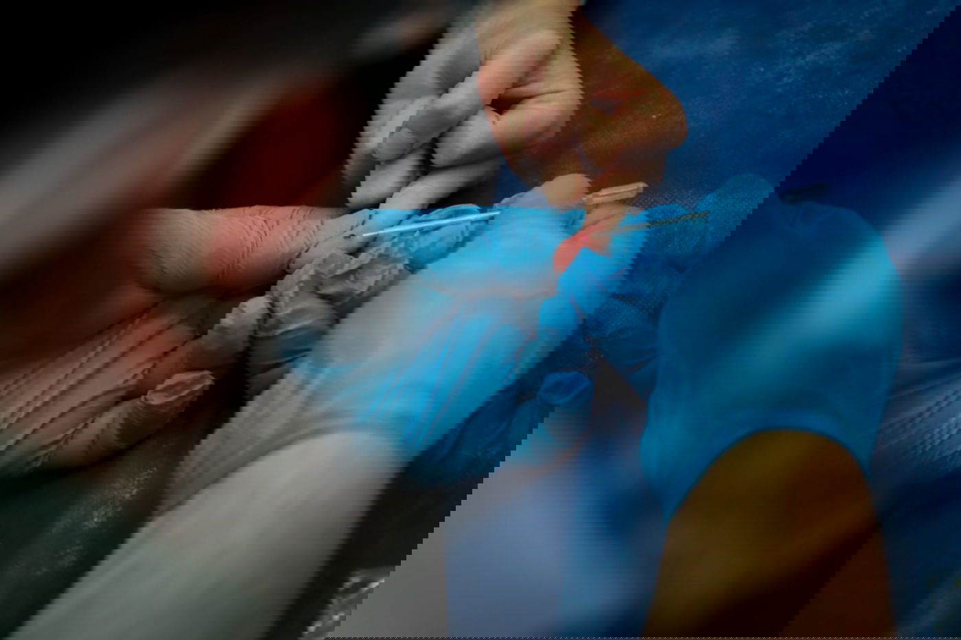 כך עורכים בדיקות סרולוגיות לילדים החרדים ברמות