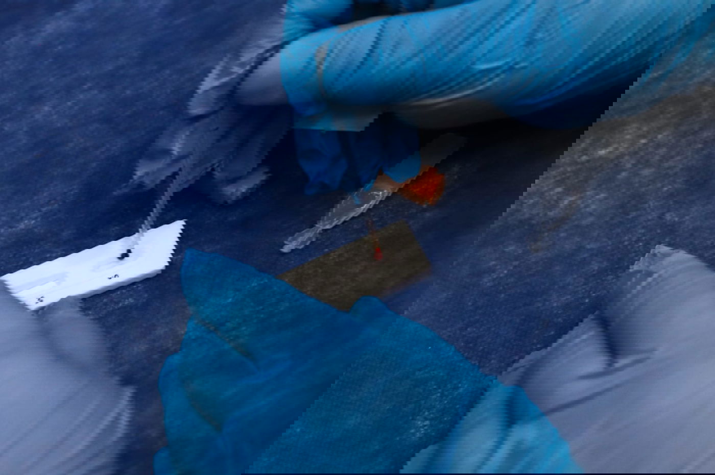 כך עורכים בדיקות סרולוגיות לילדים החרדים ברמות