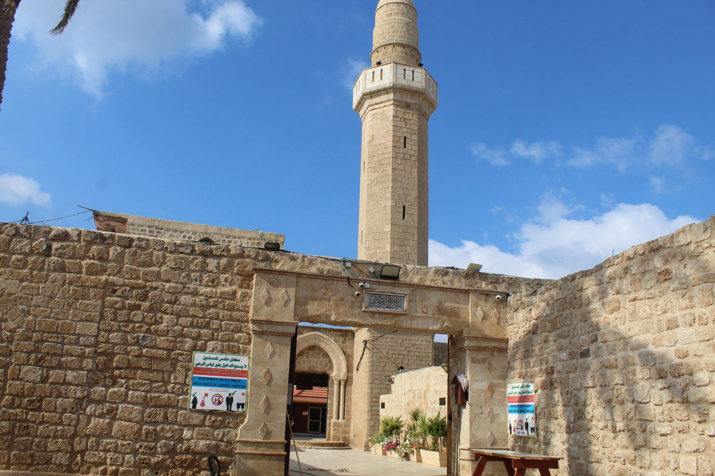 האם עלי הכהן קבור בחוף 'סידנא עלי'?