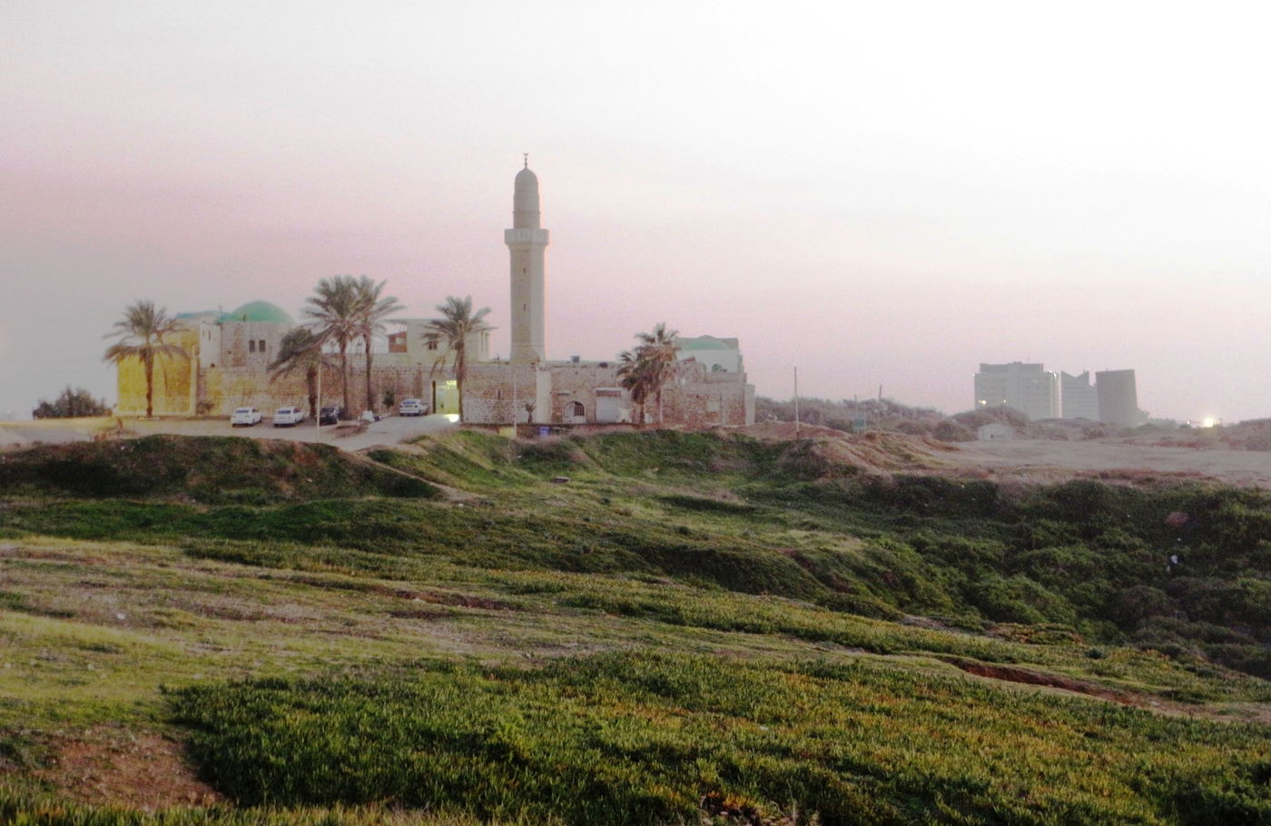 מסגד 'סידנא עלי בהרצליה עליו ישנה מסורת שהינו קבר עלי כהן גדול זי"ע