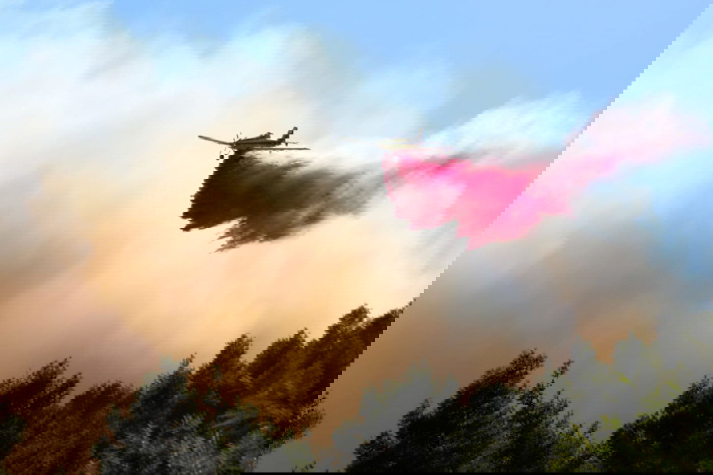 שריפת הענק בהרי ירושלים: "נערכים לקראת הלילה" • צפו