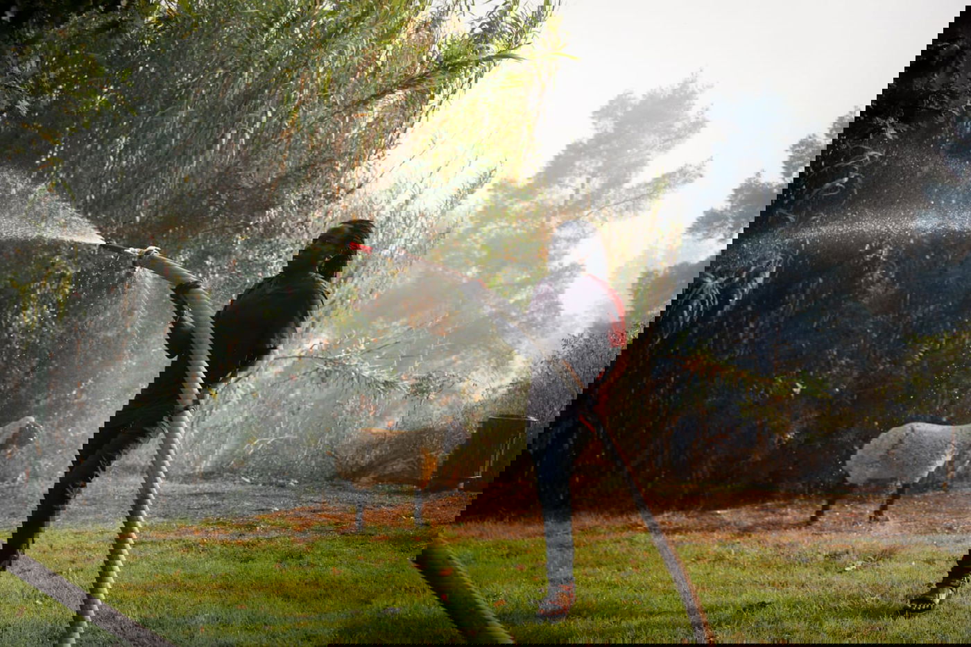 שריפת הענק בהרי ירושלים: "נערכים לקראת הלילה" • צפו