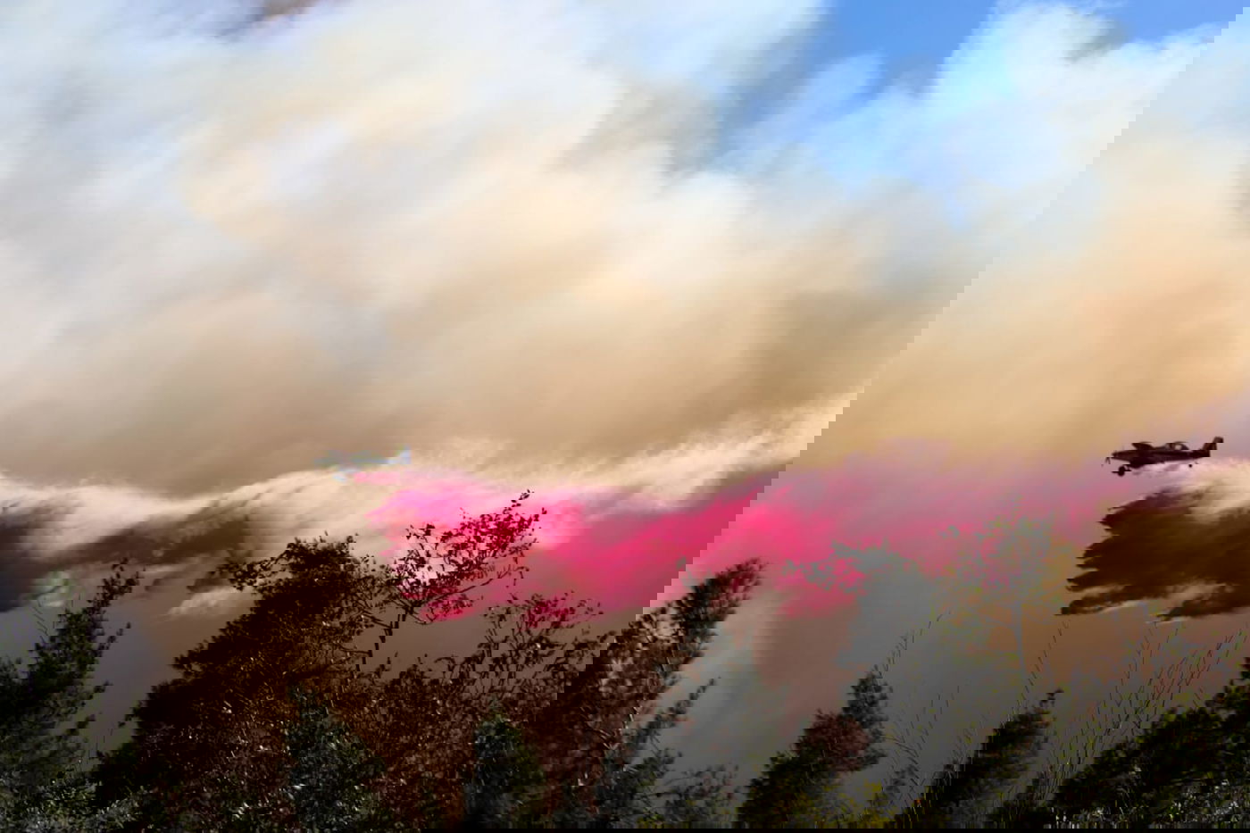 שריפת הענק בהרי ירושלים: "נערכים לקראת הלילה" • צפו