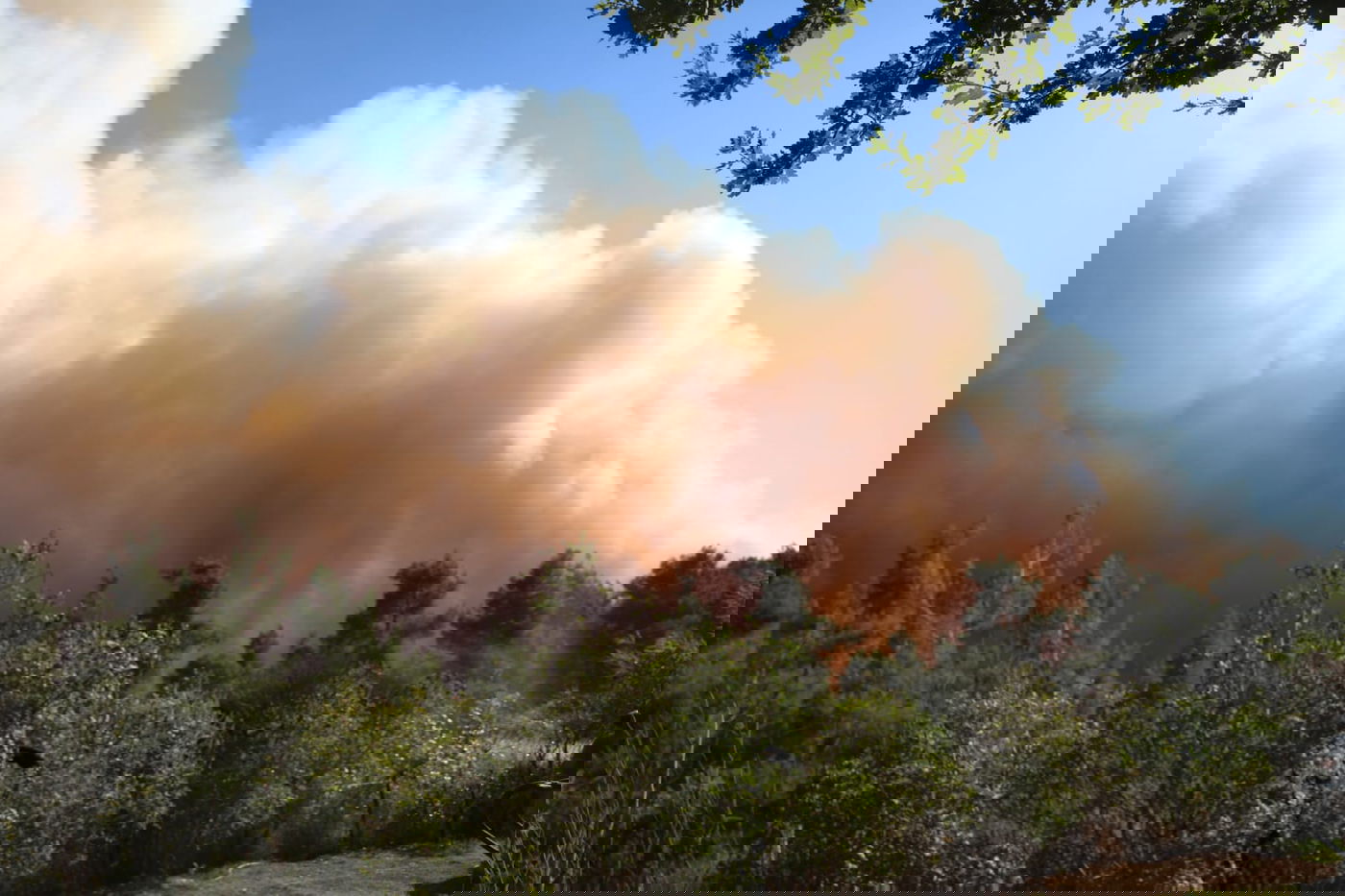 שריפת ענק ליד ירושלים; יישובים שלמים פונו; אין שליטה