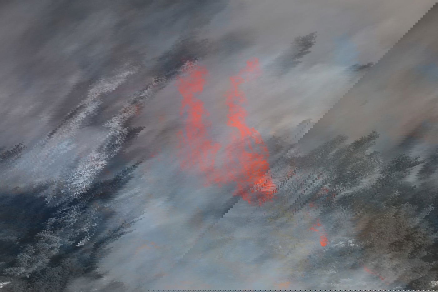 השריפה בהרי ירושלים: ישראל ביקשה סיוע מ-5 מדינות