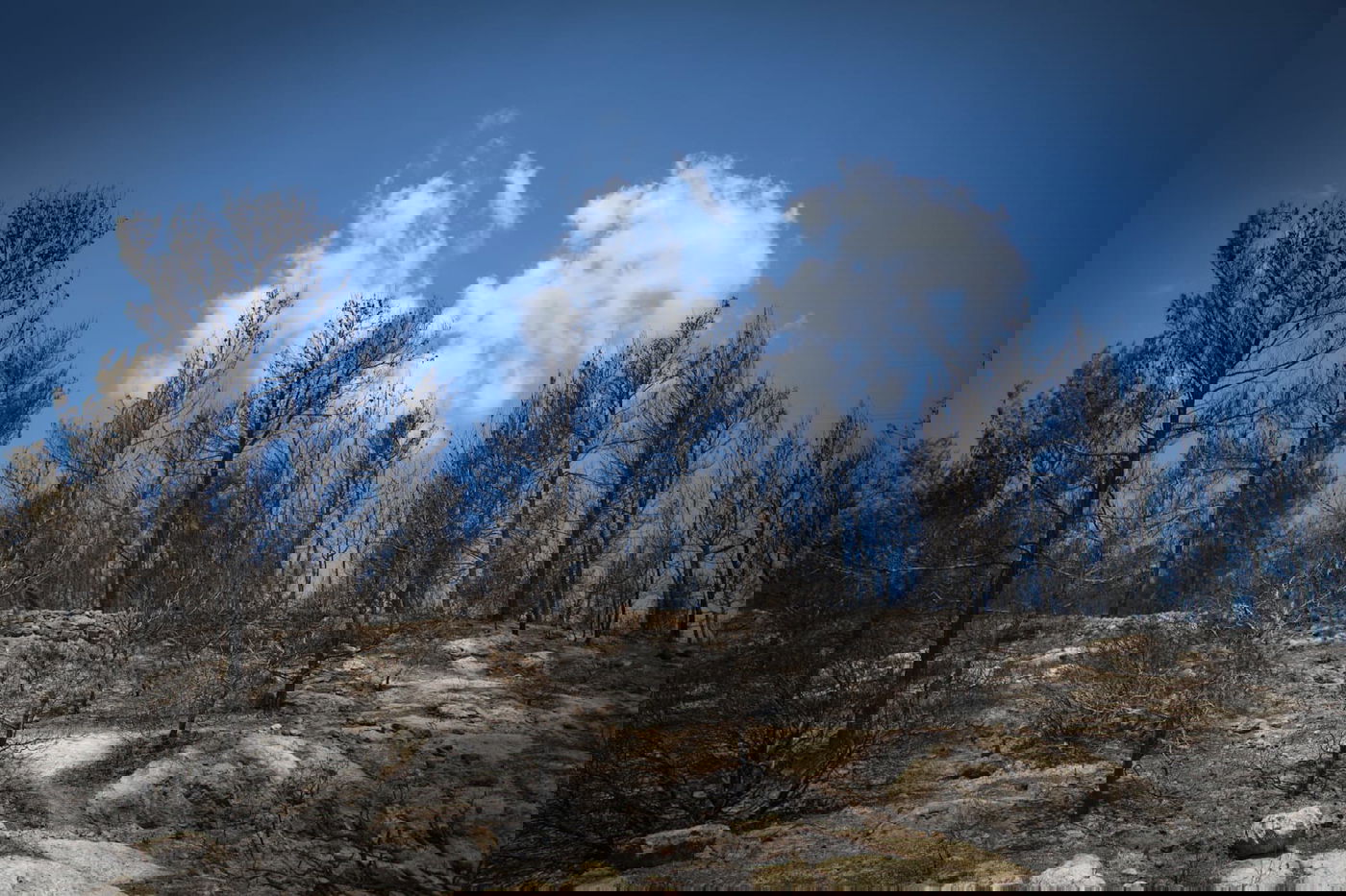 בשל התגברות הרוח: מספר יישובים - פונו