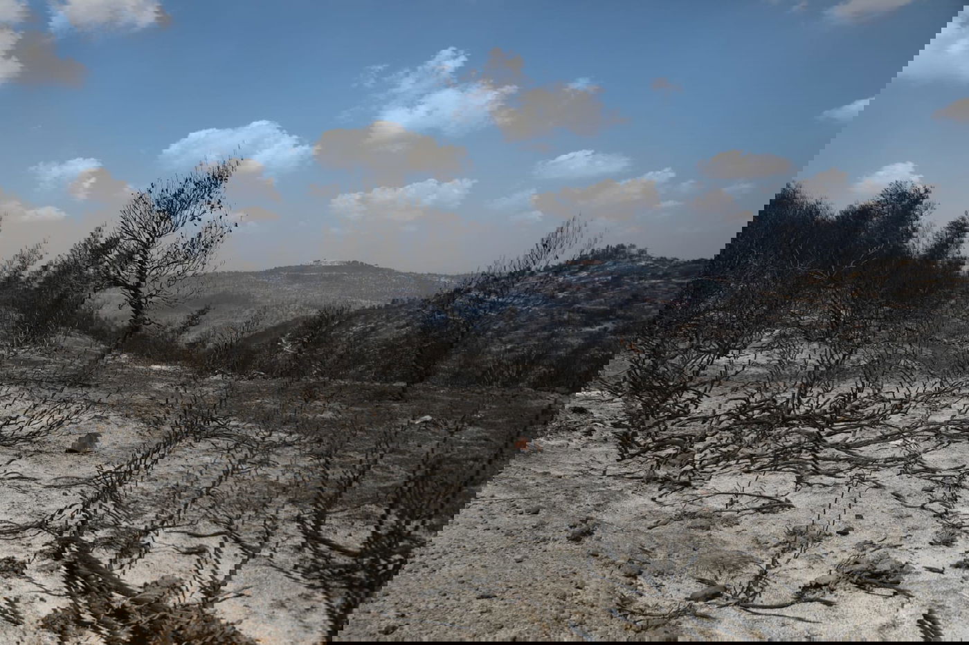 בשל התגברות הרוח: מספר יישובים - פונו